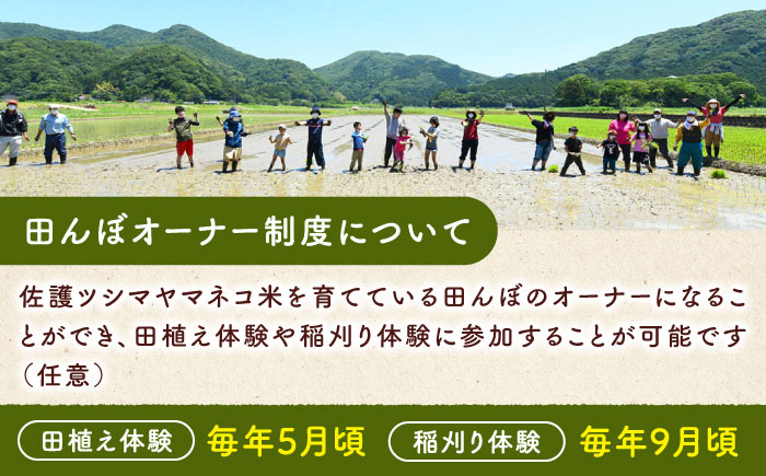 対馬 佐護 ツシマヤマネコ 米 田んぼオーナー1年権【ツシマヤマネコ米30kg付き】（対馬市）【一般社団法人MIT】 米作り体験 田植え 体験 稲刈り 離島 チケット [WAP015]