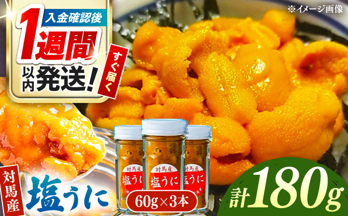 【1週間以内発送】対馬産 塩うに 60g×3本 《対馬市》【保家商事】 ウニ うに 冷凍 塩ウニ  対馬 雲丹 ムラサキウニ 紫ウニ  紫うに 人気 ランキング 長崎 九州 つしま 対馬市 海鮮 魚介 [WAA001] スピード発送 最速発送 最短発送