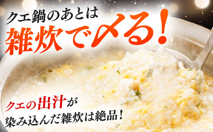 対馬産 クエ鍋セット 600g（2〜3人前）《対馬市》【対馬地域商社】 [WAC014] アラ くえ クエ クエ鍋 鍋 鍋セット 高級魚 魚 希少 冷凍 長崎 九州 つしま 対馬市 海鮮 魚介