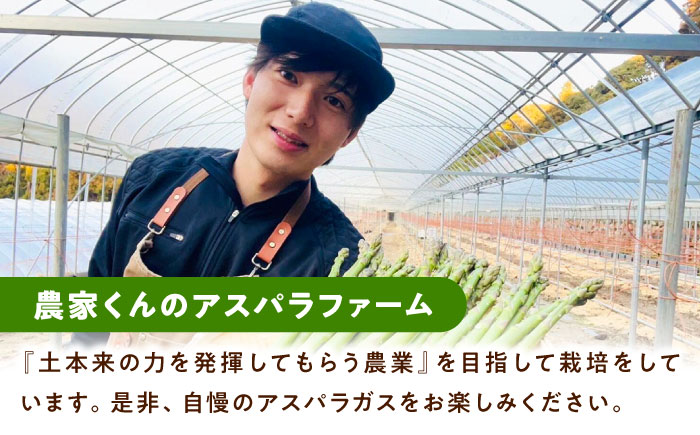 朝採れ アスパラガス 500g 《対馬市》【農家くんのアスパラファーム】 冷蔵 アスパラ とれたて 新鮮 野菜 産地直送 [WCT003]