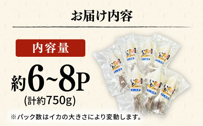 剣先イカ 750g(約6〜8本) セット【丸徳水産】《対馬市》鮮度抜群 新鮮 ケンサキイカ シロイカ 下処理済 刺身 BBQ 惣菜 天ぷら フライ 海鮮 [WAE012]