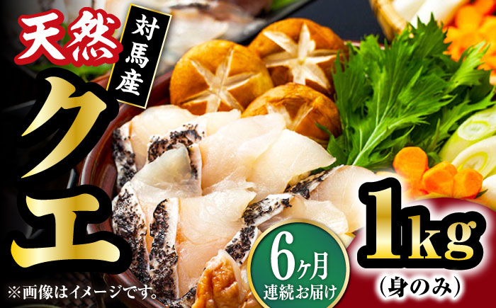 【全6回定期便】【 対馬産 】 天然 クエ 1kg（500g×2）（身のみ）《対馬市》【石川水産】 鍋 水炊き 鮮度抜群 海鮮 [WAB025]