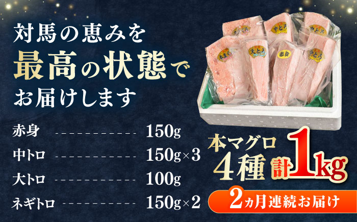 【全2回定期便】対馬産 本マグロ 4種 計1kg（赤身/中トロ/大トロ/ネギトロ）《対馬市》【対海】 新鮮 マグロ 鮪 本鮪 赤身 中トロ 大トロ ネギトロ 海鮮 冷凍 [WAH030]