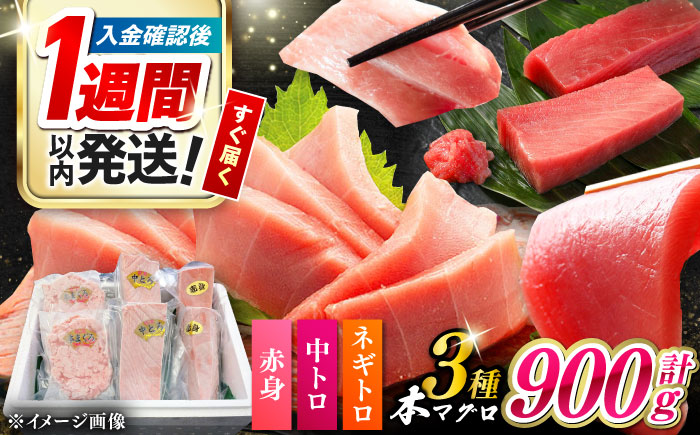 【1週間以内発送】対馬産 本マグロ 3種 計900g（赤身/中トロ/ネギトロ）《対馬市》【対海】 冷凍配送 食べ比べ 贈り物 魚介類 [WAH029] スピード発送 最速発送 最短発送