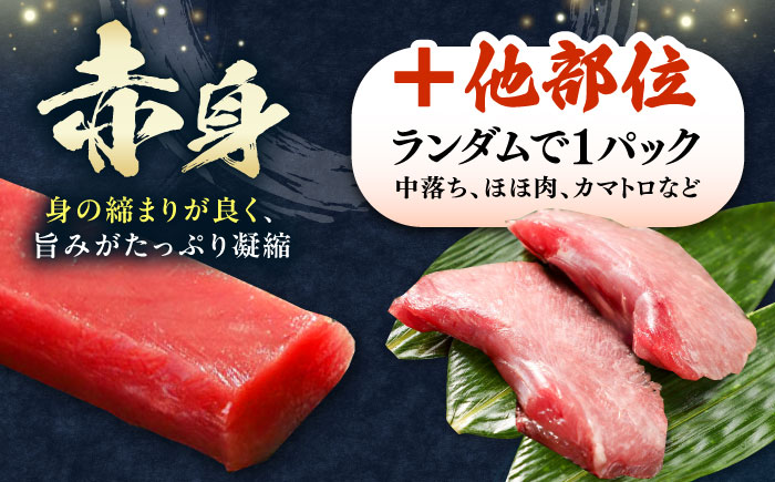 対馬産 生 本マグロ 800g （赤身、中トロ、大トロ）《対馬市》　【対海】 中トロ 大トロ まぐろ マグロ 鮪 [WAH026]