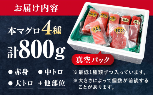 対馬産 生 本マグロ 800g （赤身、中トロ、大トロ）《対馬市》　【対海】 中トロ 大トロ まぐろ マグロ 鮪 [WAH026]