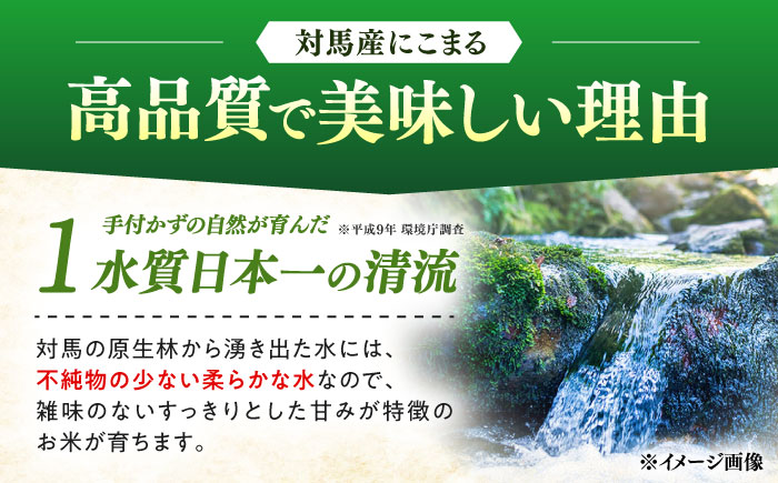 【R8年産】【2026年10月中旬頃より順次発送】特A 対馬産 にこまる 5kg×2「ほたる舞う三根川の米」 《対馬市》【永留しいたけ農園】新米 米 お米 ご飯 ごはん 白米 10kg 10キロ 産地直送 ランキング 送料無料 贈答用 特A [WAJ001]
