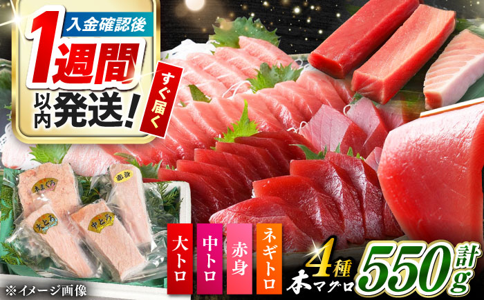 【1週間以内発送】対馬産 本マグロ 4種 計550g（赤身/中トロ/大トロ/ネギトロ）《対馬市》【対海】[WAH003] マグロ まぐろ 鮪 本鮪 本マグロ 養殖 トロ 中トロ 中とろ 大トロ 大とろ 赤身 ねぎとろ ネギトロ たたき 刺身 冷凍 海鮮 魚 柵 お祝い 贈答 スピード発送 最速発送 最短発送