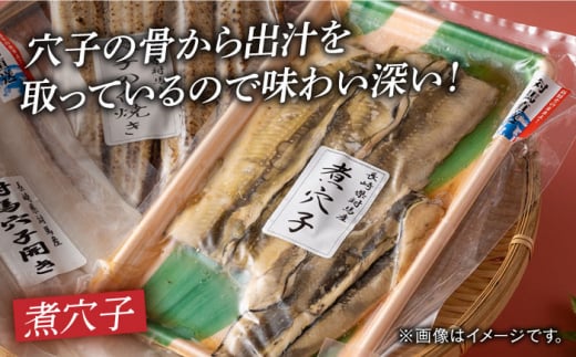 【全12回定期便】対馬 穴子 セット 500g《対馬市》【海風商事】国産 九州 長崎 煮穴子 白焼き [WAD040]冷凍 あなご 食べ比べ 白焼き 贈り物 ギフト 煮穴子 おかず もう1品 人気  定期便 毎月届く