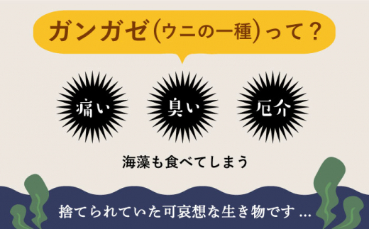 充電式ウニホタルテーブルランプ《対馬市》【一般社団法人MIT】対馬 インテリア 間接照明 手作り [WAP007]