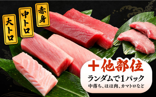 対馬産 生 本マグロ 800g （赤身、中トロ、大トロ）《対馬市》　【対海】 中トロ 大トロ まぐろ マグロ 鮪 [WAH026]