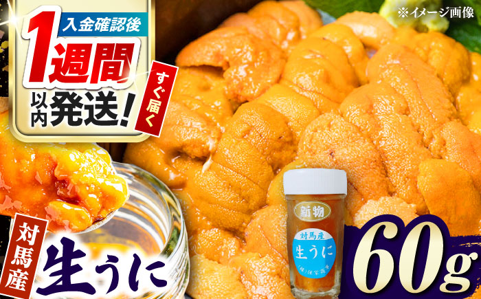 【1週間以内発送】対馬産 生うに 60g《対馬市》【保家商事】 ウニ うに 冷凍 生ウニ 雲丹 対馬 ムラサキウニ 紫ウニ  紫うに 人気 ランキング 長崎 九州 つしま 対馬市 海鮮 魚介 [WAA012] スピード発送 最速発送 最短発送
