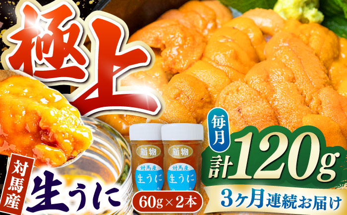 【全3回定期便】 対馬産 生うに 60g×2本 《対馬市》【保家商事】 うに ウニ 雲丹 生ウニ 海鮮 海産物 [WAA043]
