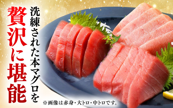 【全12回定期便】対馬産 本マグロ 中トロ100g ≪対馬市≫【桐谷商店】 トロの華 対馬 新鮮 マグロ 中トロ トロ 鮪 刺身 [WAQ118]