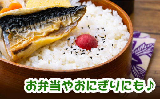 【令和6年産 新米 予約受付中】佐護 ツシマヤマネコ 米 5kg みつめるにゃんBOX セット【24年10月以降順次発送】《対馬市》【一般社団法人MIT】玄米 対馬 精米 減農薬 猫 ギフト [WAP003]