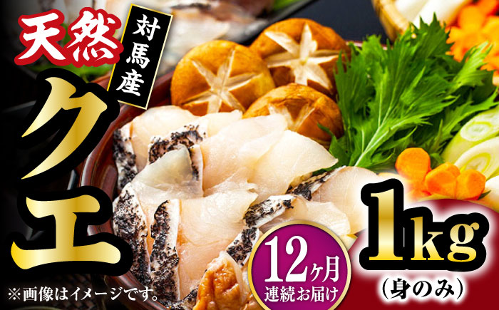 【全12回定期便】【 対馬産 】 天然 クエ 1kg（500g×2）（身のみ）《対馬市》【石川水産】 鍋 水炊き 鮮度抜群 海鮮 [WAB026]