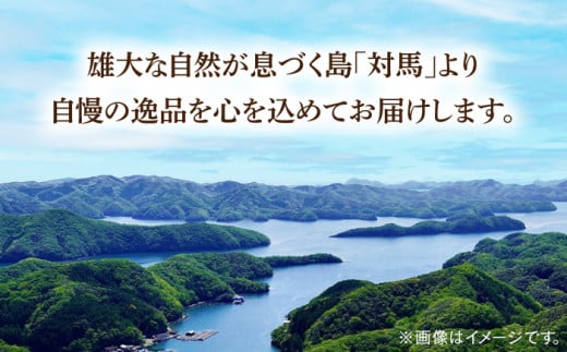 天然 岩ガキ 3kg《対馬市》【海風商事】国産 九州 長崎 牡蠣 [WAD001]冷蔵 新鮮 岩牡蠣 BBQ バーベキュー カキフライ 生牡蠣 生カキ 対馬 つしま かき 海鮮 魚介 浜焼き 貝