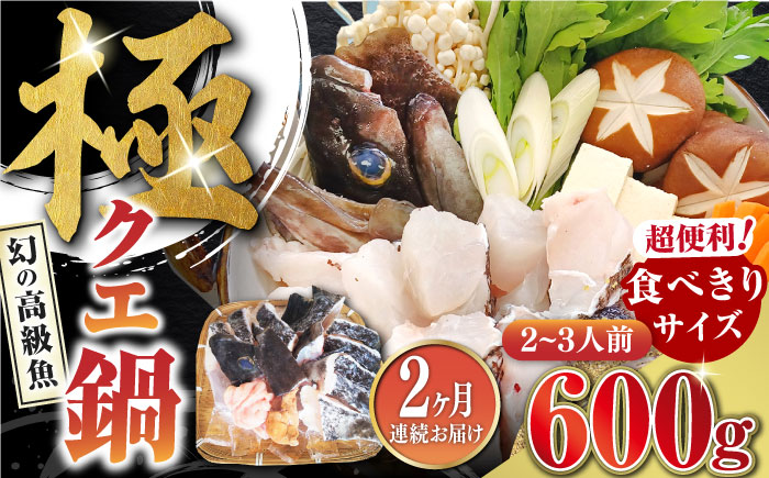 【全2回定期便】対馬 産 クエ 鍋 セット 600g (2～3人前)《対馬市》【対馬地域商社】九州 長崎 海鮮 [WAC056]