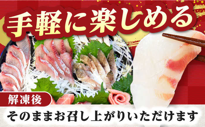 【全6回定期便】対馬 イカ 姿造り と 刺身 の セット 【真心水産】《対馬市》新鮮 海鮮 いか 冷凍 刺身 ケンサキイカ 島魚 海鮮丼 手巻き寿司 [WAK014]