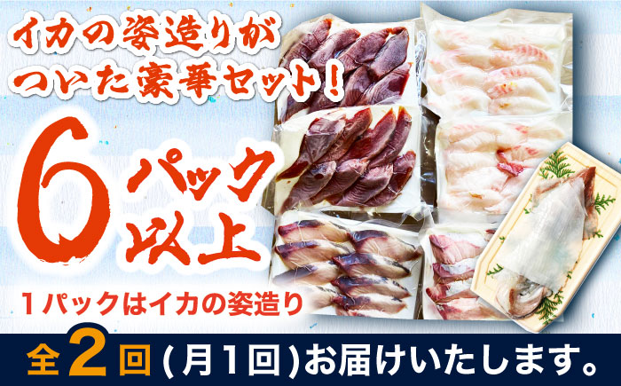 【全2回定期便】対馬 イカ 姿造り と 刺身 の セット 【真心水産】《対馬市》新鮮 海鮮 いか 冷凍 刺身 ケンサキイカ 島魚 海鮮丼 手巻き寿司 [WAK025]