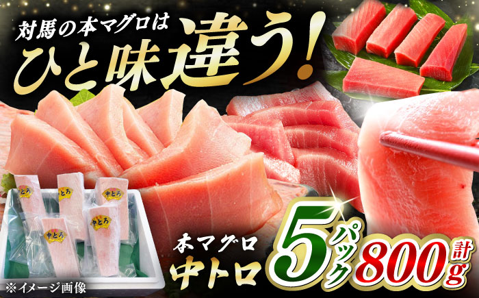 対馬産 養殖 本マグロ 中トロ 800ｇ(5パック)《対馬市》【対海】 マグロ 鮪 まぐろ 本鮪 中とろ [WAH019]