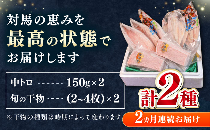 【全2回定期便】対馬産 本マグロ 中トロ300g ＆干物《対馬市》【対海】 新鮮 マグロ 鮪 本鮪 トロ 海鮮 冷凍 浜干し [WAH031]