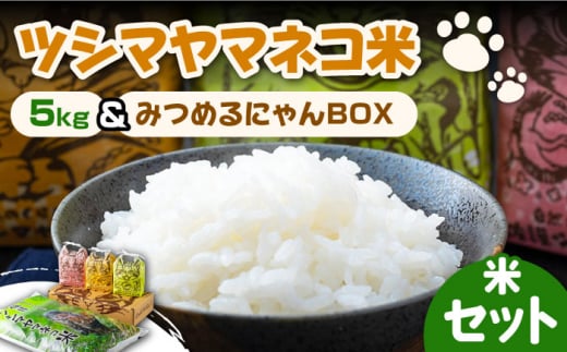 【令和6年産 新米 予約受付中】佐護 ツシマヤマネコ 米 5kg みつめるにゃんBOX セット【24年10月以降順次発送】《対馬市》【一般社団法人MIT】玄米 対馬 精米 減農薬 猫 ギフト [WAP003]