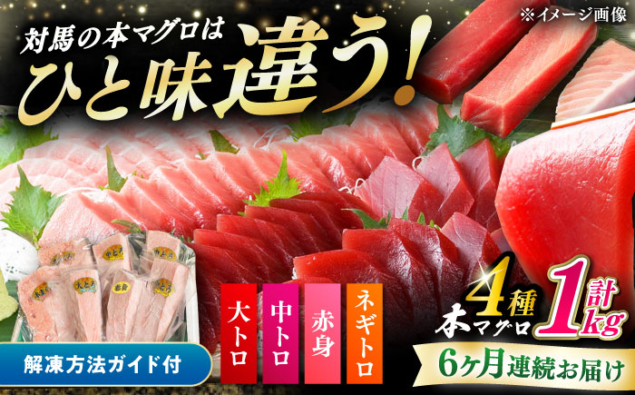 【全6回定期便】対馬産 本マグロ 4種 計1kg（赤身/中トロ/大トロ/ネギトロ）《対馬市》【対海】[WAH007] マグロ まぐろ 鮪 本鮪 本マグロ 養殖 トロ 中トロ 中とろ 大トロ 大とろ 赤身 ねぎとろ ネギトロ たたき 刺身 冷凍 海鮮 魚 柵 お祝い 贈答 定期便 毎月届く