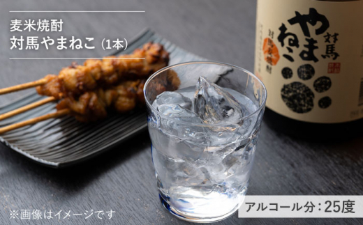 【全12回定期便】本格焼酎 飲み比べ 一升瓶 2本 セット 芋焼酎 / 麦米焼酎  《対馬市》【白嶽酒造株式会社】 酒 お酒 地酒 [WAN032]