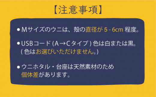 充電式ウニホタルテーブルランプ《対馬市》【一般社団法人MIT】対馬 インテリア 間接照明 手作り [WAP007]