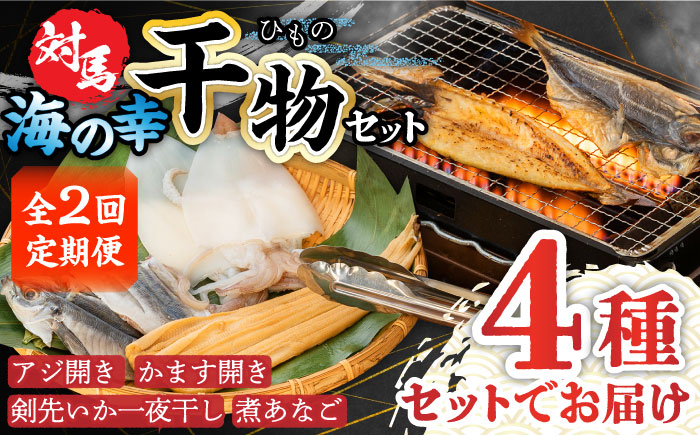 【全2回定期便】対馬 海の幸 干物 セット《対馬市》【対馬地域商社】九州 長崎 海鮮 [WAC055]