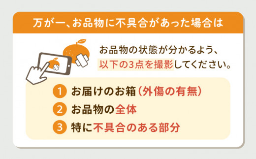 【24年1月限定発送】 対馬 つつ みかん 10kg 《対馬市》【対馬農業協同組合】長崎 豆酘みかん ミカン 柑橘 [WBM005]