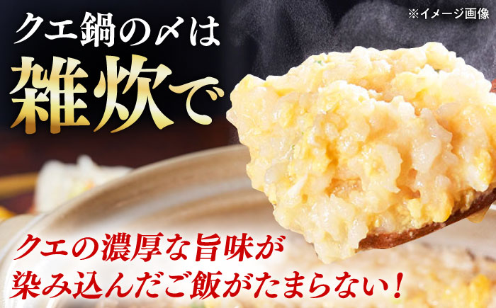 【全6回定期便】対馬産 クエ ぶつ切り 300g 鍋用スープ付《対馬市》【島本水産】高級魚 新鮮 肉厚 本格的 海鮮 鍋セット フライ 煮付け アラ [WBI012]