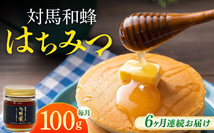 【全6回定期便】 対馬 和蜂 はちみつ 100g×1本 《対馬市》【特定非営利活動法人 對馬次世代協議会（対馬コノソレ）】 蜂蜜 ハチミツ 日本ミツバチ ニホンミツバチ [WAM044]