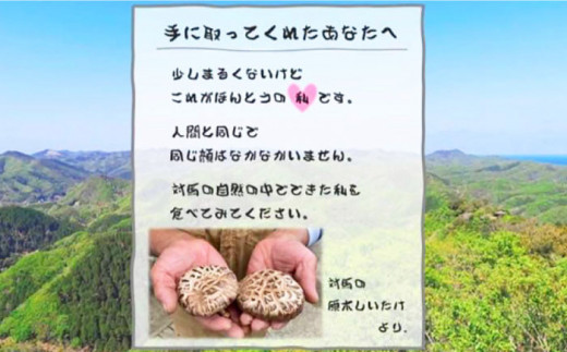 対馬 あべまき 原木 しいたけ 中葉厚肉 140g《対馬市》【大石商店】肉厚 椎茸 煮物 干ししいたけ 和食 [WBJ002]