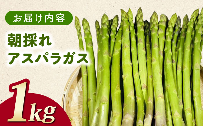 【先行予約】訳あり！朝採れアスパラガス１kg 【3月中旬以降順次発送】《対馬市》【農家くんのアスパラファーム】  冷蔵 アスパラ とれたて 新鮮 野菜　産地直送 1万円 10000円 [WCT001]