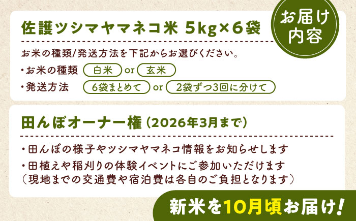 対馬 佐護 ツシマヤマネコ 米 田んぼオーナー1年権【ツシマヤマネコ米30kg付き】（対馬市）【一般社団法人MIT】 米作り体験 田植え 体験 稲刈り 離島 チケット [WAP015]