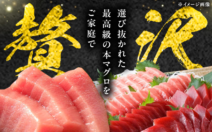 対馬産 生 本マグロ 800g （赤身、中トロ、大トロ）《対馬市》　【対海】 中トロ 大トロ まぐろ マグロ 鮪 [WAH026]