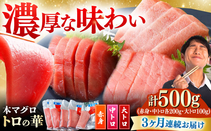 【全3回定期便】対馬産 本マグロ 500g（赤身200g、中トロ200g、大トロ100g）≪対馬市≫【桐谷商店】 トロの華 対馬 新鮮 マグロ 大トロ 鮪 刺身 鮮度抜群 [WAQ056]
