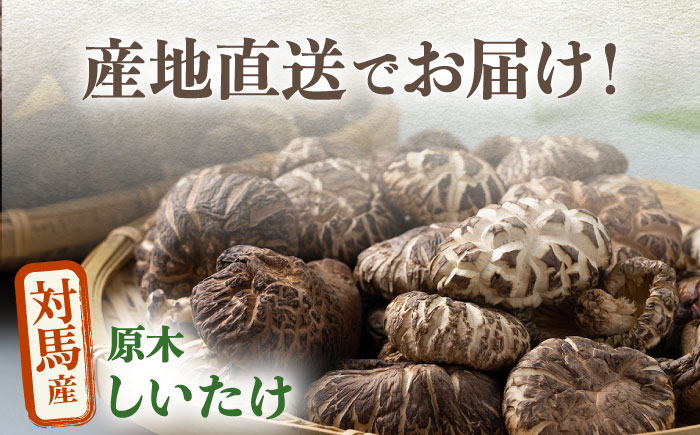 【全2回定期便】対馬産 原木 乾 しいたけ 360g《対馬市》【永留しいたけ農園】 肉厚 しいたけ シイタケ 椎茸 乾燥しいたけ 干ししいたけ [WAJ022]