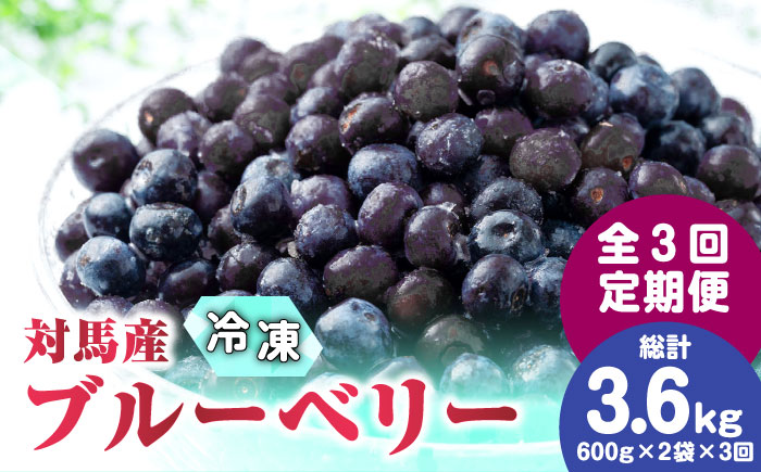 【先行予約】【全3回定期便】 大容量 対馬産 ブルーベリー （ 冷凍 ） 1.2kg【2025年7月上旬以降順次発送】【 さほの里ファーム 】《 対馬市 》 有機 旬 果物 フルーツ [WBG002]