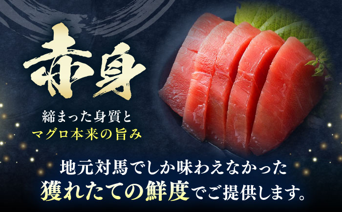 対馬産 本マグロ 詰め合わせ 《 対馬市 》【 桐谷商店 】 対馬 新鮮 マグロ 大トロ 鮪 刺身 鮮度抜群 [WAQ003]