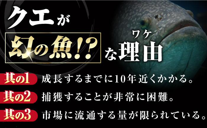 【全12回定期便】対馬 産 クエ 鍋 セット 600g (2〜3人前)《対馬市》【対馬地域商社】九州 長崎 海鮮 [WAC035]冷凍 新鮮 くえ 鍋セット 海の幸 クエ 下処理 冷凍 新鮮 小分け 海産物 九州 長崎 唐揚げ からあげ 天ぷら てんぷら 煮付け 5人前 クエ鍋 対馬 定期便 毎月届く