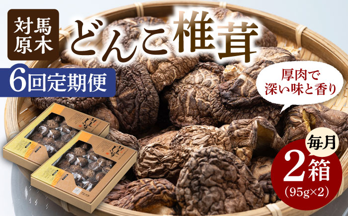 【全6回定期便】対馬 原木 どんこ 椎茸 95g×2箱《対馬市》【うえはら株式会社】 対馬産 肉厚 しいたけ 乾燥 きのこ 贈り物 [WAI058]