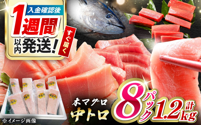 【1週間以内発送】対馬産 養殖 本マグロ　中トロ 1.2kg(8パック)《対馬市》【対海】マグロ 鮪 まぐろ 本鮪 中とろ [WAH020] スピード発送 最速発送 最短発送