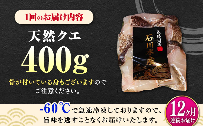 【全12回定期便】 【 対馬産 】 天然 クエ 400g （切り身）《対馬市》【石川水産】 鍋 水炊き 鮮度抜群 海鮮 [WAB032]