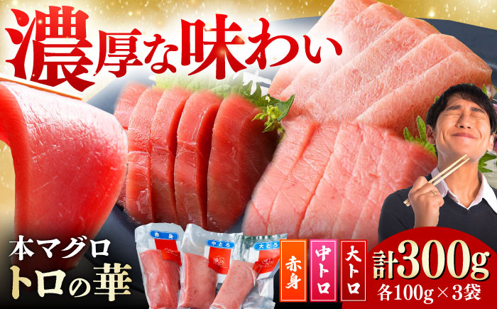 対馬産 本マグロ 詰め合わせ 《 対馬市 》【 桐谷商店 】 対馬 新鮮 マグロ 大トロ 鮪 刺身 鮮度抜群 [WAQ003]