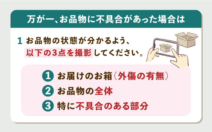 対馬産 アオリイカ 600g《対馬市》【保家商事】烏賊 いか 刺身 海鮮 冷凍 [WAA028]