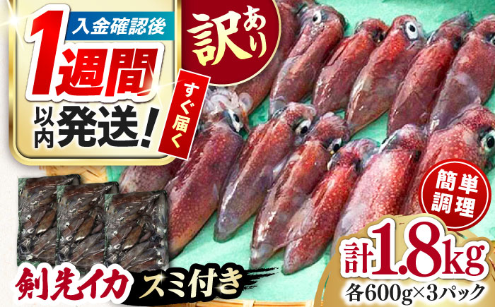 【1週間以内発送】おスミ付き！ 訳アリ 剣先イカ 1.8kg(3パック)≪対馬市≫【対馬地域商社】 冷凍配送 新鮮 いか 簡単調理 産地直送 小分け イカスミパスタ [WAC051] スピード発送 最速発送 最短発送