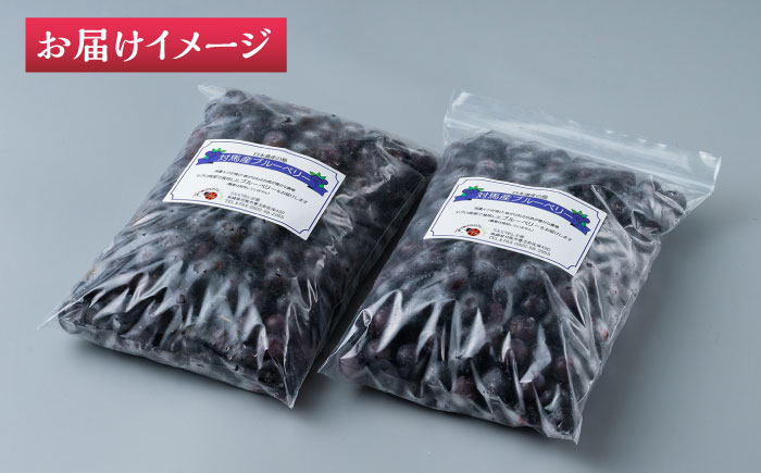 【最速発送】対馬産 ブルーベリー 600g×2袋 計1.2kg（ 冷凍 ） 【さほの里ファーム 】《 対馬市 》 小粒　離島 対馬 無農薬 有機肥料 旬 果物 フルーツ [WBG011]